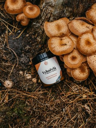 I ta Vyhořelá je míň vyhořelá když je v lese jó v lese… na jehličí 😁🌲🪾 @zuzkafoti 🌳📸