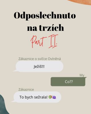 📝Jak víte, jsme s Anet obě redaktorky. A když vy mluvíte, my vás opravdu slyšíme! 😂 Letos na zimních trzích Anet sice...
